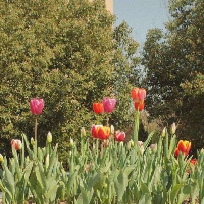 乐鱼体育下载手机版