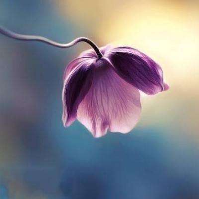 大发彩票官方官方平台app下载手机版截图