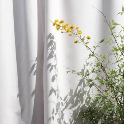 大发彩票官方官方平台app下载手机版